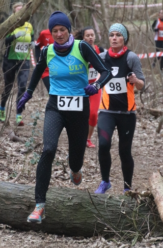 Cross in Bergen 2017