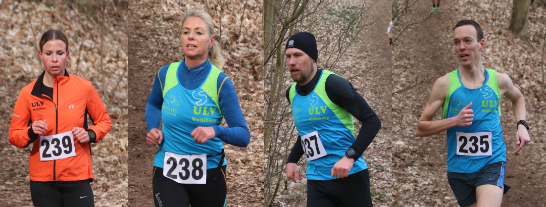 Cross Velpke 2019